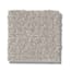 Baffin Bay Neutral Pattern Carpet swatch